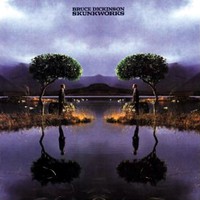 Bruce Dickinson - Skunkworks (1996)